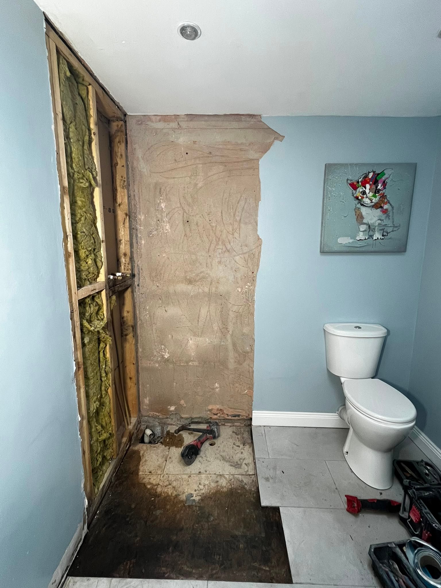 Rotten bathroom floor exposed during shower room renovation, before replacement