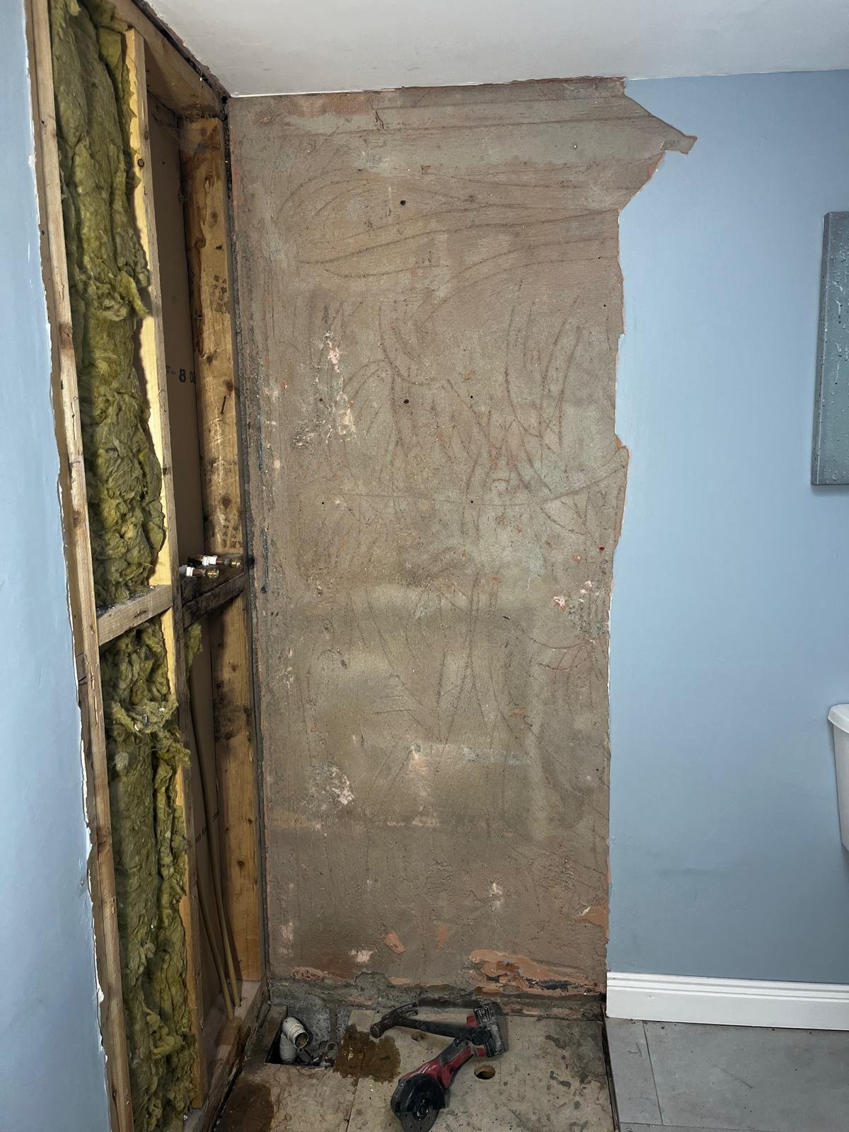 Bathroom wall and fixture work
